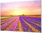 Wandpaneel Bloemen tot aan de horizon  | 150 x 100  CM | Zwart frame | Wand-beugels (27 mm)