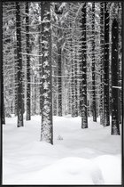 JUNIQE - Poster in kunststof lijst Deep Dark White Forest -20x30