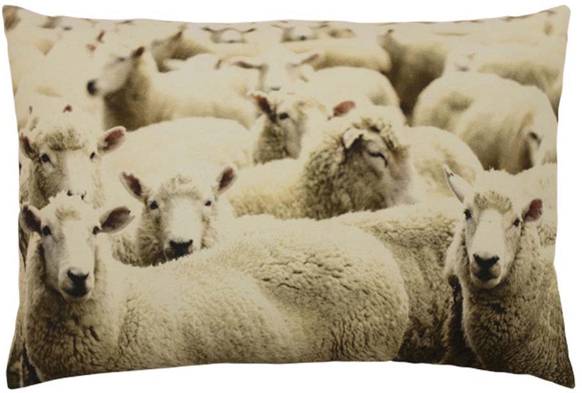 canvas kussen schapen 40x60cm