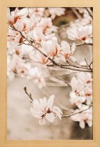 JUNIQE - Poster in houten lijst Magnolias 1 -30x45 /Bruin & Ivoor