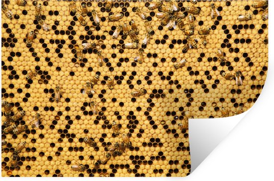 Muurstickers - Sticker Folie - close-up foto's van honingbijen korf - 120x80 cm - Plakfolie - Muurstickers Kinderkamer - Zelfklevend Behang - Zelfklevend behangpapier - Stickerfolie