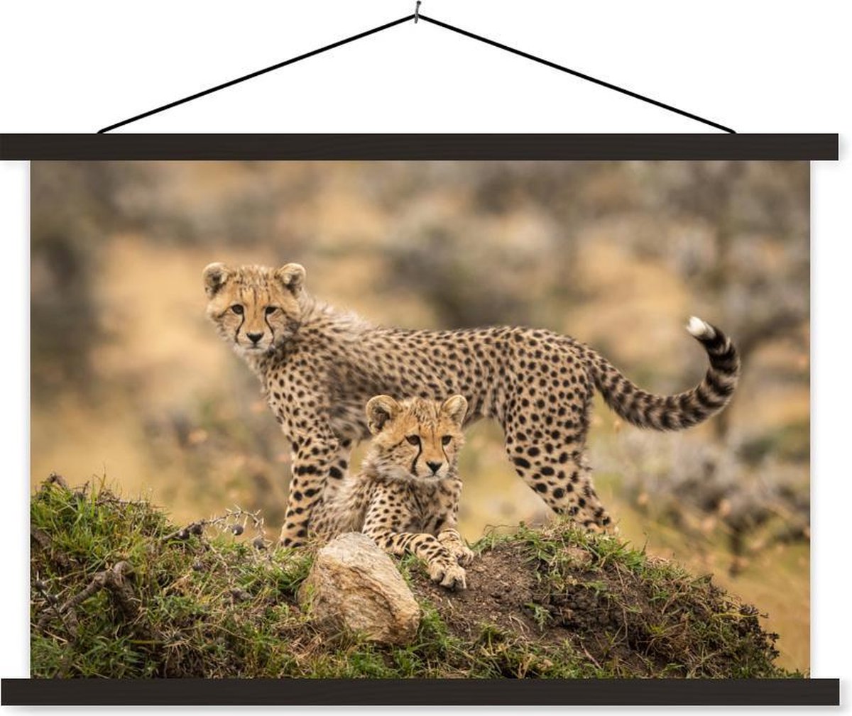 Posterhanger incl. Poster 120x80 cm - Schoolplaat - Luipaard - Jong - Natuur - Textielposter - Zwarte latten op Prijzenvolger.com
