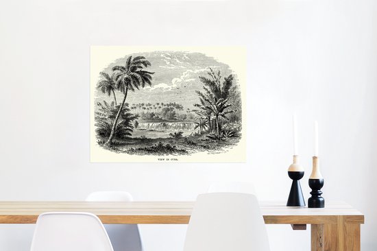 Une ancienne photo nature sur Cuba comme affiche d'illustration 80x60 cm - Tirage photo sur Poster (décoration murale salon / chambre)