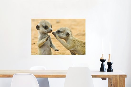 Papier d'affiche de deux suricates