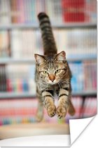 Kat springend op stoel poster papier 40x60 cm - Foto print op Poster (wanddecoratie woonkamer / slaapkamer) / Huisdieren Poster