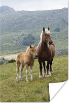 Poster Haflinger paard en haar veulen - 80x120 cm