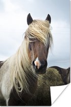 Bont IJslands paard naast het hooi poster papier 80x120 cm - Foto print op Poster (wanddecoratie woonkamer / slaapkamer) / Wilde dieren Poster
