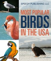 Bird Fun and Facts - Most Popular Birds In The USA