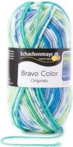 Schachenmayr Bravo Color 50 Gram - 2080