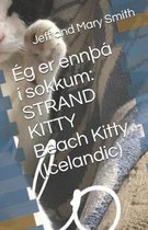 Socks and Friends- Ég er ennÞá í sokkum