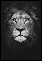 Dark Lion B2 zwart wit dieren poster