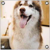 Tuinposter –Hijgende Hond-80x80 Foto op Tuinposter  (wanddecoratie voor buiten en binnen)