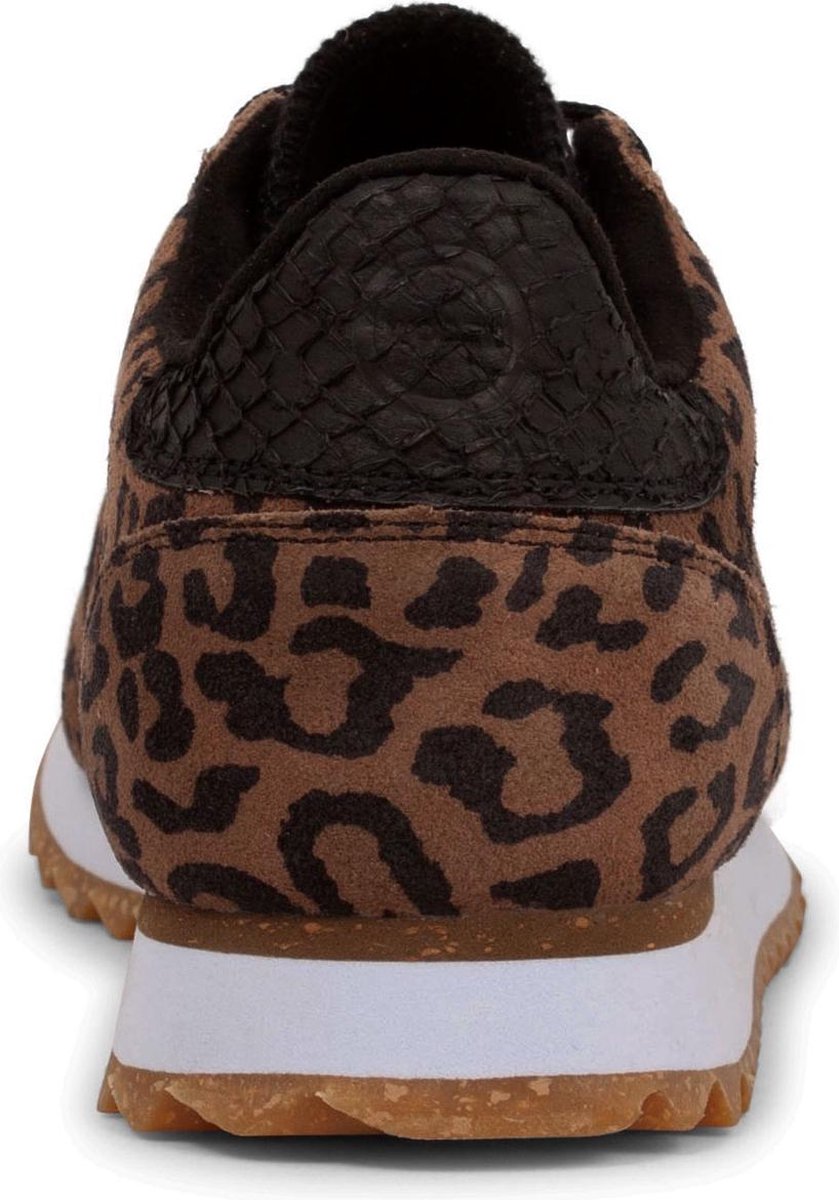 محو صعب مورفين woden ydun pony - northbeachcert.org