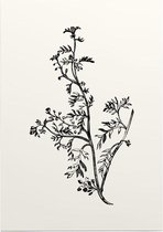 Kleine Varkenskers zwart-wit (Lesser Wart Cress) - Foto op Posterpapier - 42 x 59.4 cm (A2)