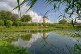 Fotobehang Rotterdam Zuiderpark met molen 450 x 260 cm