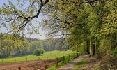 Fotobehang glooiend weide landschap bij Nijmegen 250 x 260 cm - € 175,--