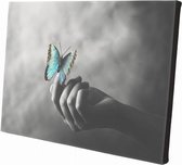Vlinder op hand | 60 x 40 CM | Wanddecoratie | Dieren op canvas |Schilderij | Canvasdoek | Schilderij op canvas