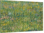 Grasgrond, Vincent van Gogh - Foto op Canvas - 90 x 60 cm