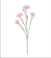 Kunstbloem - Zijde - Anjer - Creme - 60 cm - Boeket van 5 stuks - 4 bloemen en 4 knoppen per stengel - In cadeauverpakking met gekleurd lint