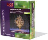Luca LightingString L500 Connect Xp Clear 50L Startcable L180