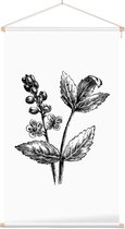 Actaea zwart-wit (Baneberry) - Foto op Textielposter - 40 x 60 cm