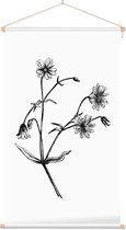 Grote Muur zwart-wit (Greater Stitchwort) - Foto op Textielposter - 40 x 60 cm