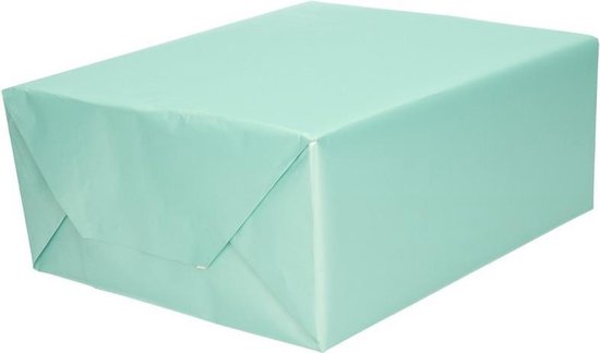 salade sigaret leven 2x Luxe inpakpapier/cadeaupapier mintgroen zijdeglans 150 x 70 cm -  Cadeauverpakking... | bol.com