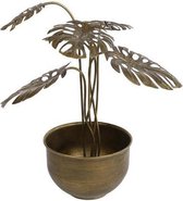 Woonaccessoires - Decoratie 'plant' Metaal 32,5x30x40,5cm Messing