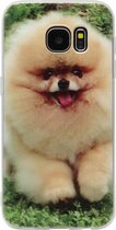 ADEL Siliconen Back Cover Softcase Hoesje Geschikt voor Samsung Galaxy S6 Edge - Dwergkees Pomeriaan Hond