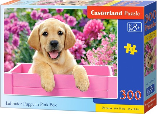 Castorland Legpuzzel Labrador Puppy In Pink Box 300 Stukjes