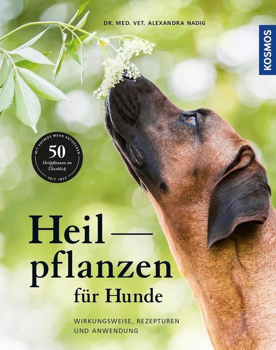 Heilpflanzen für Hunde - cover