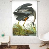 Wandkleed-XL Reiger van John James Audubon