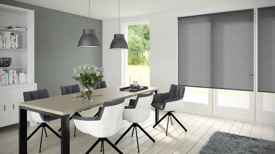 Decosol Store à enrouleur Deluxe translucide 90x190 cm anthracite