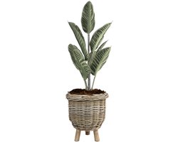 Van der Leeden Planten/bloemen mand - op pootjes - rotan - gevlochten - D34 x H40 cm - plantenpot - bloempot - binnen/buiten