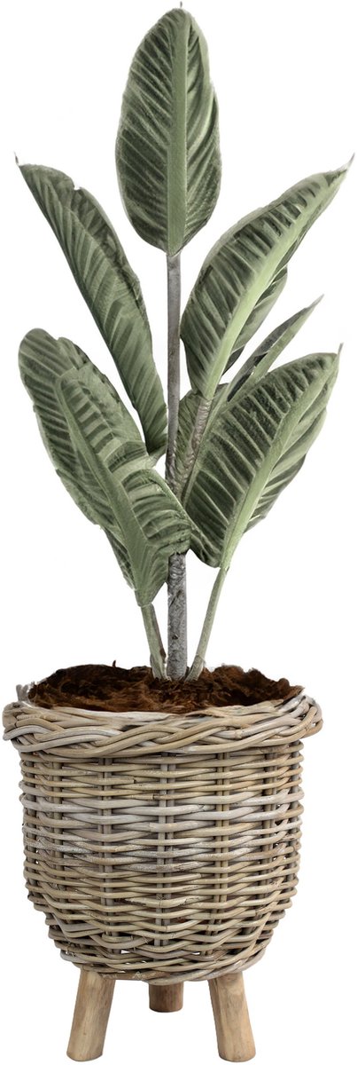 Van der Leeden Planten/bloemen mand - op pootjes - rotan - gevlochten - D34 x H40 cm - plantenpot - bloempot - binnen/buiten