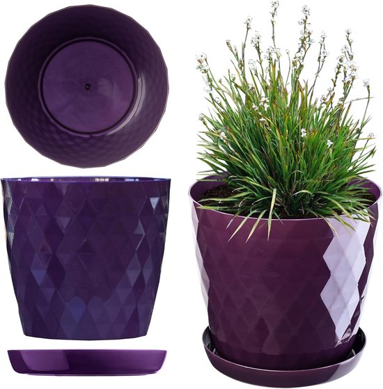 Tube Néon Plasma Pilot PNL58 - 58 Cm, 12V, Violet - Pour Voiture Ou Déco - Avec Interrupteur Et Fixation Adhésive/Vis - 3