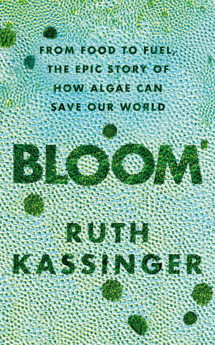Bloom van Ruth Kassinger