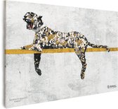 64 cm x 90 cm