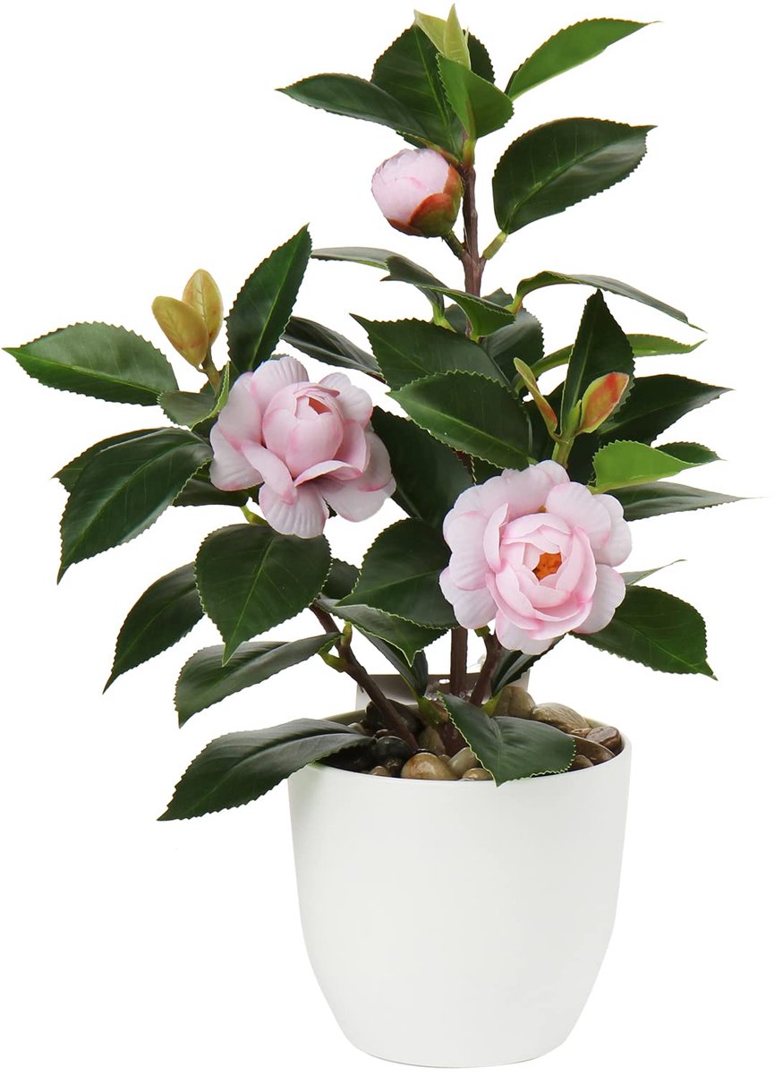 Ibenzoa® Kleurrijke Kunstmatige Camelia Kamerplant met Levensechte Bloemen in Kunststof Pot voor Interieurdecoratie