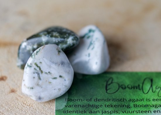 Boom Agaat Trommelsteen voor Spiritueel Gebruik