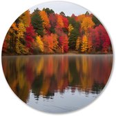 Herfstbos weerspiegeld in water - Herfst wandcirkel - Wandobject rond bos - Realistische kunst - Schilderij op dibond rond - Muur kunst - muurcirkel aluminium 50x50 cm