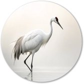 Elegante kraanvogel in serene omgeving - Kraanvogel muurdecoratie rond - Wandbord dier - Hyperrealisme - Muurcirkels op maat - Muurdecoratie slaapkamer - muurcirkel aluminium 40x40 cm