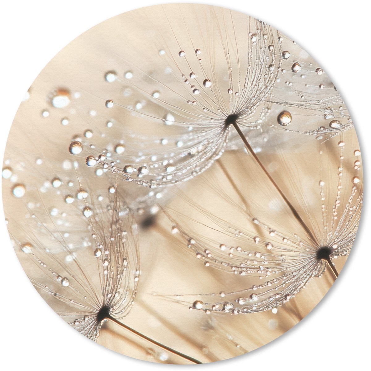 Muismat rond 40x40 cm - Mousepad Paardenbloem - Abstract - Natuur - Beige - Ronde muismatten