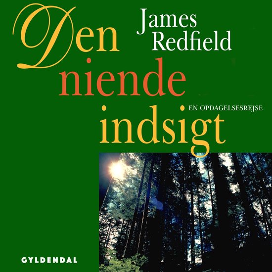 Den niende indsigt - cover