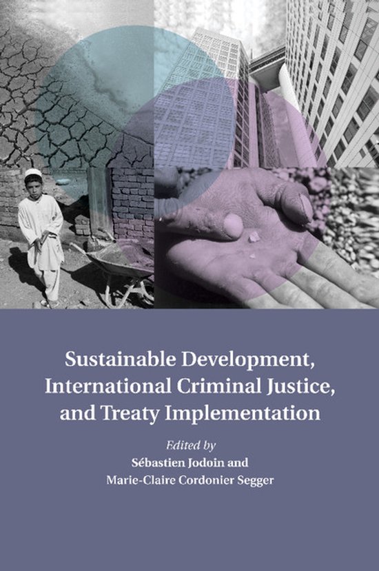 Sustainable Development, International Criminal Justice, and ... - cover