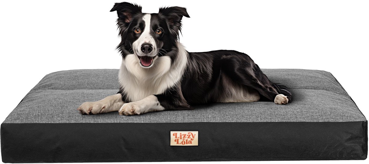Lizzy & Lola – Hondenbed - Benchkussen - Hondenkussen - Pilly XL – 120 x 90 cm - Grey