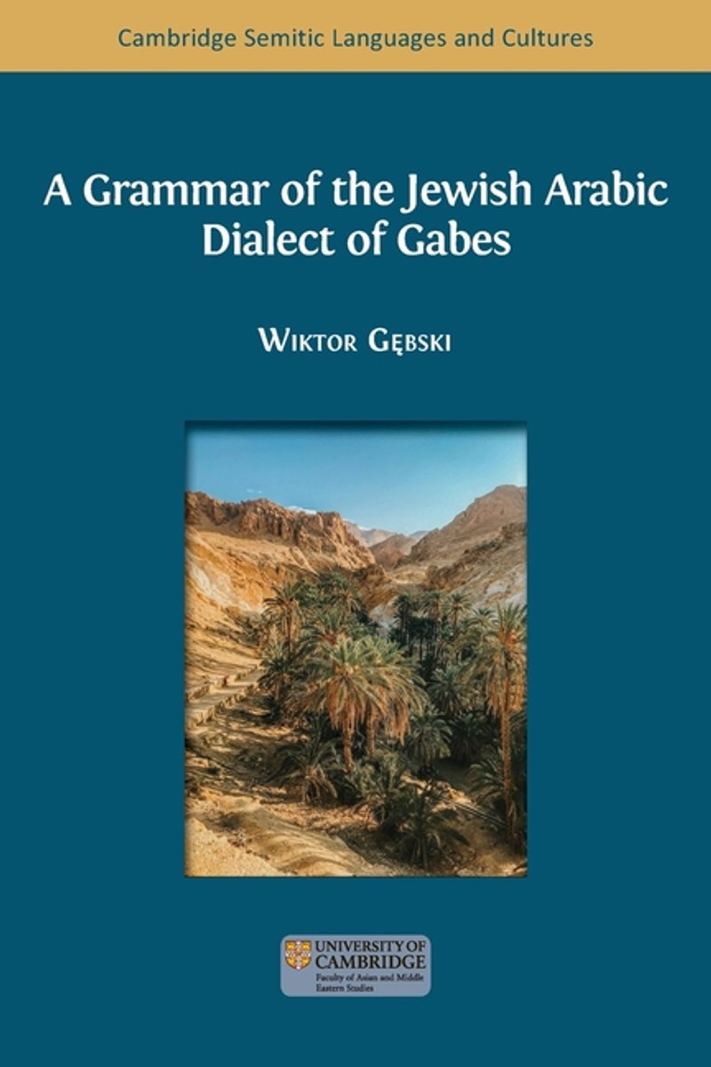 A Grammar Of The Jewish Arabic Dialect Of Gabes van Onbekend