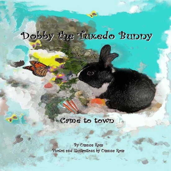 Dobby the Tuxedo Bunny Came to town - cover