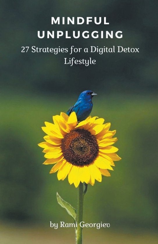 Mindful Unplugging - cover