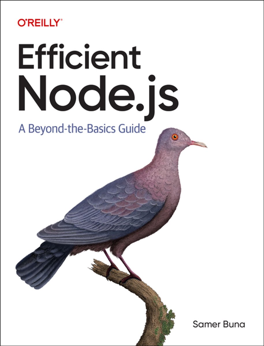 Omslag van Efficient Node.js